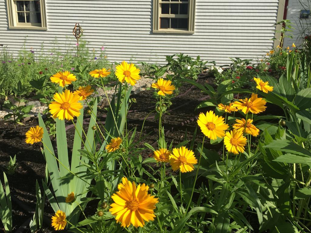 Black Boar Inn Ogunquit Exterior foto